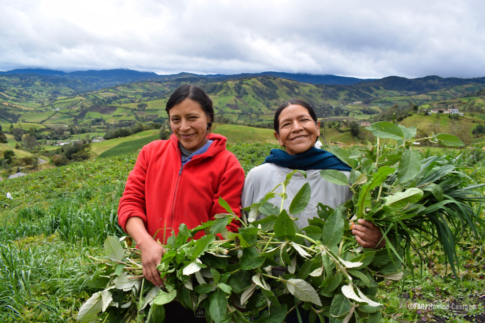 our story FAO, UN Women, and UNFPA agree on a plan to advance rural women's rights in Latin America and the Caribbean image