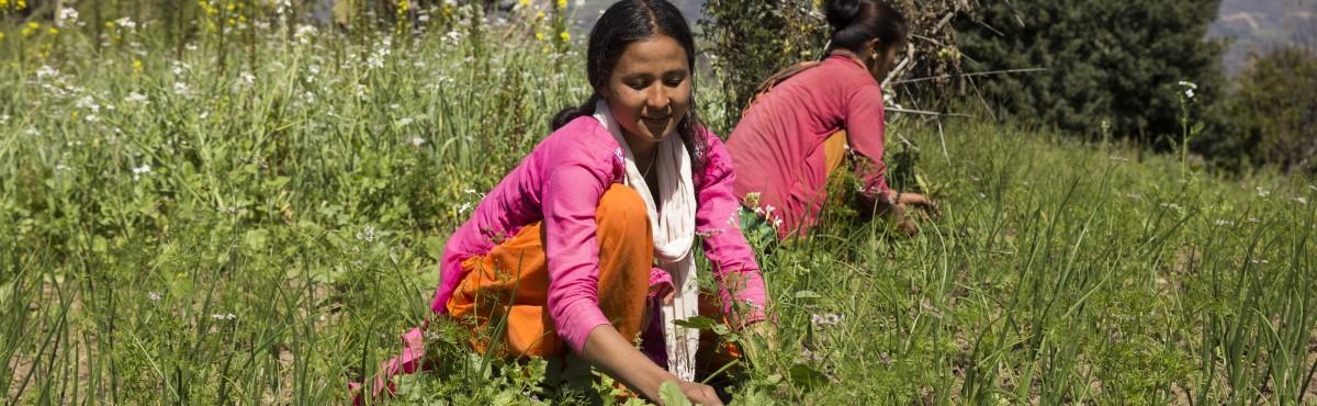 Nepal
