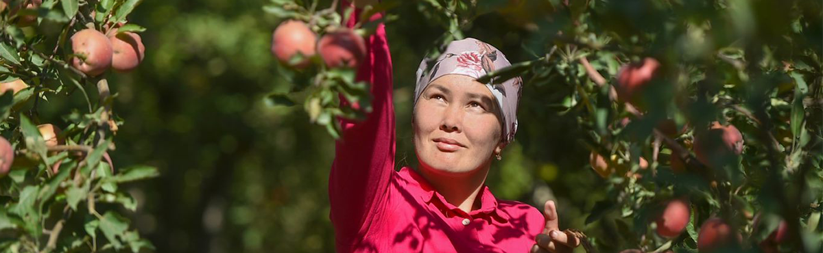 Kyrgyzstan Banner Image